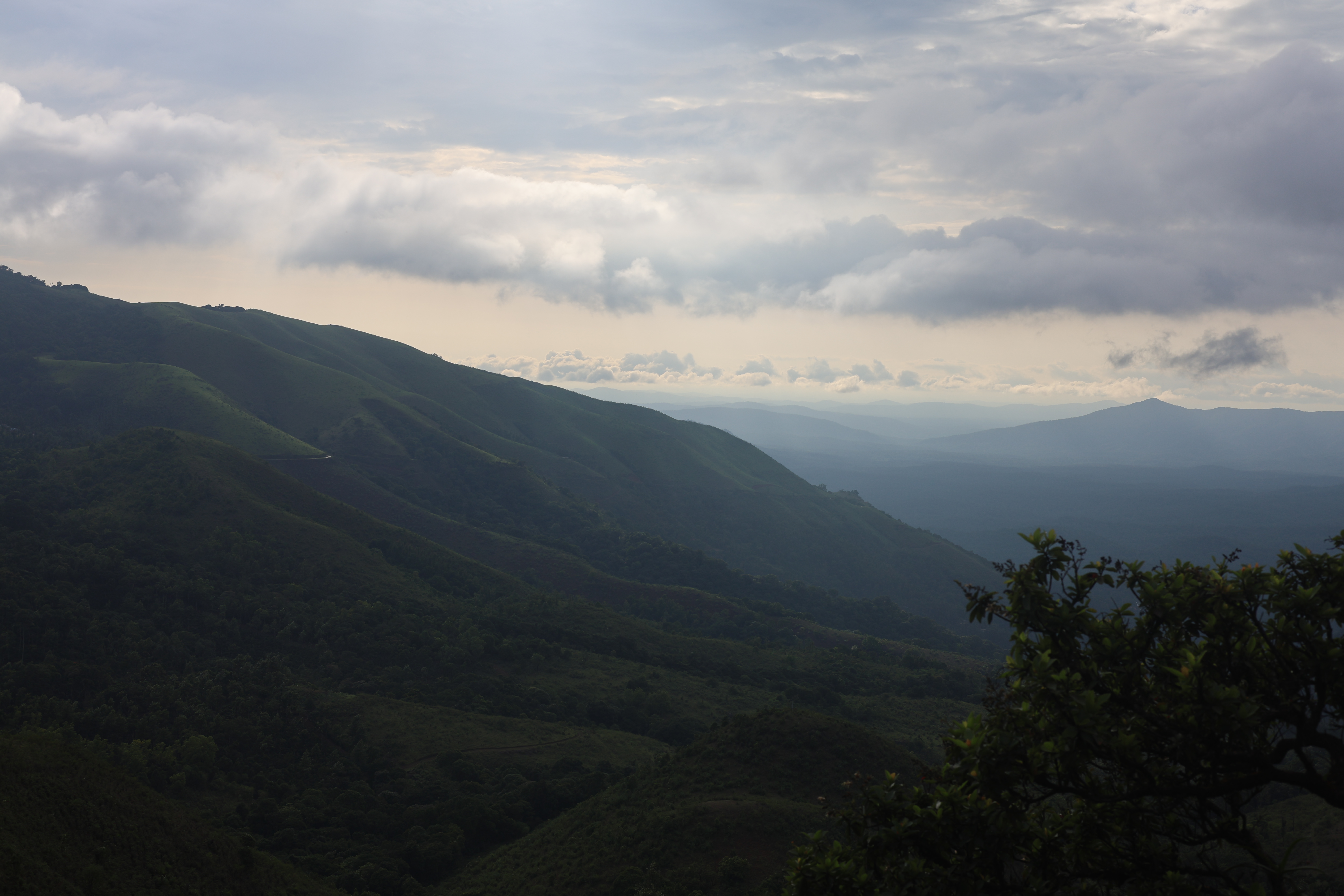 Bhadra Tiger Reserve, Karnataka